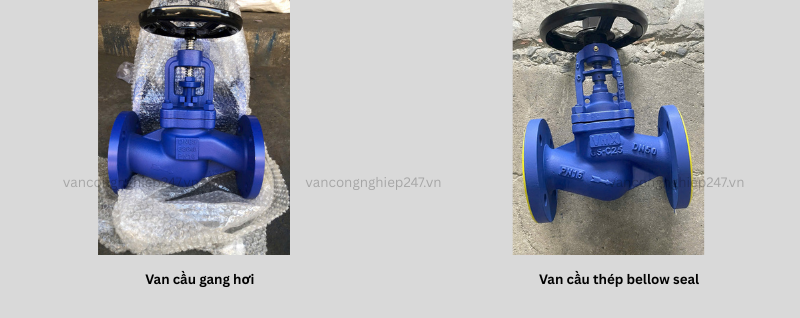 So sánh van cầu gang hơi và van cầu thép bellow seal