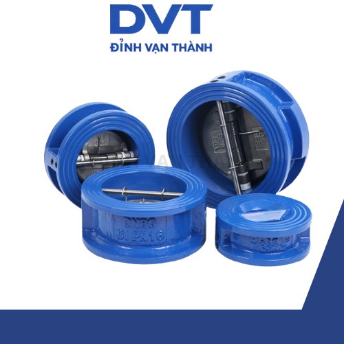 Van 1 chiều cánh bướm DN80