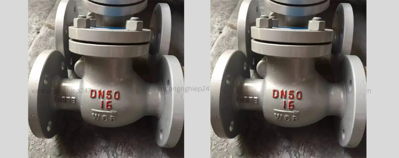 Van 1 chiều mặt bích thép DN50