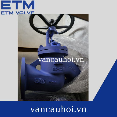 Van cầu hơi thép DN200