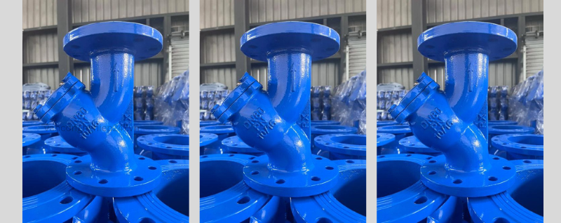 Y lọc gang mặt bích DN80