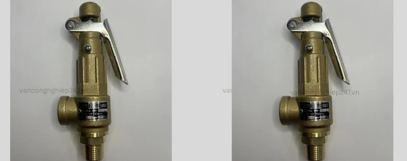 Van an toàn đồng có tay DN21