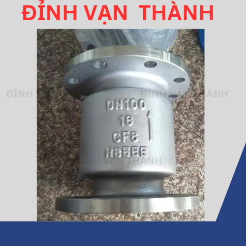 Van 1 chiều lo xo mặt bích inox DN100